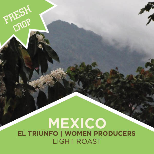 Mexico | El Triunfo | Women Producers | Light Roast