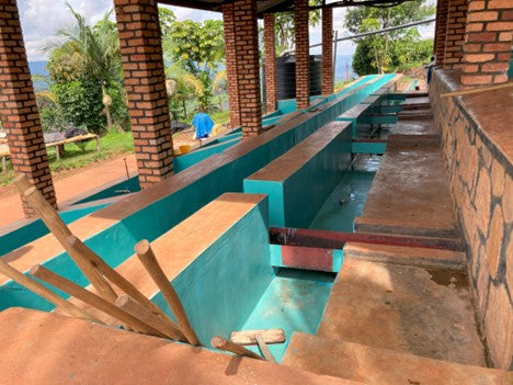 Rwanda | Mbilima Washing Station | Light Roast