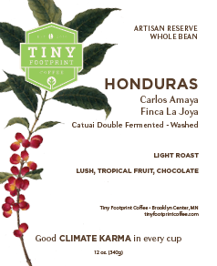 Honduras | Finca La Joya - Catuai | Light Roast