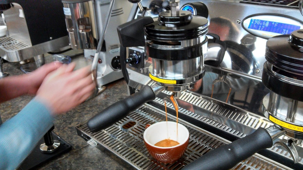 6 Month Unlimited Barista Training Pass - Tiny Footprint Coffee