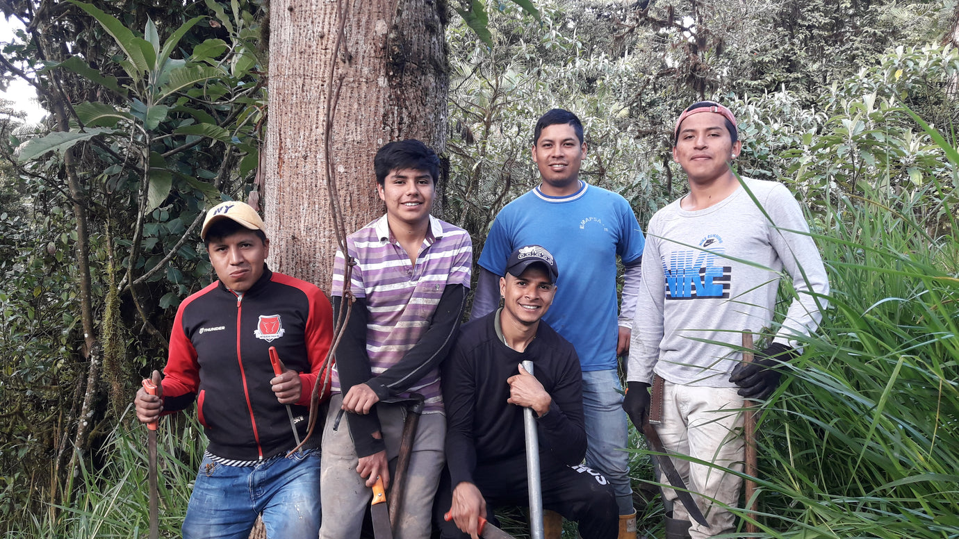 Mindo Cloudforest Reforestation efforts with Tiny Footprint Coffee. Carbon Negative Coffee Positive.
