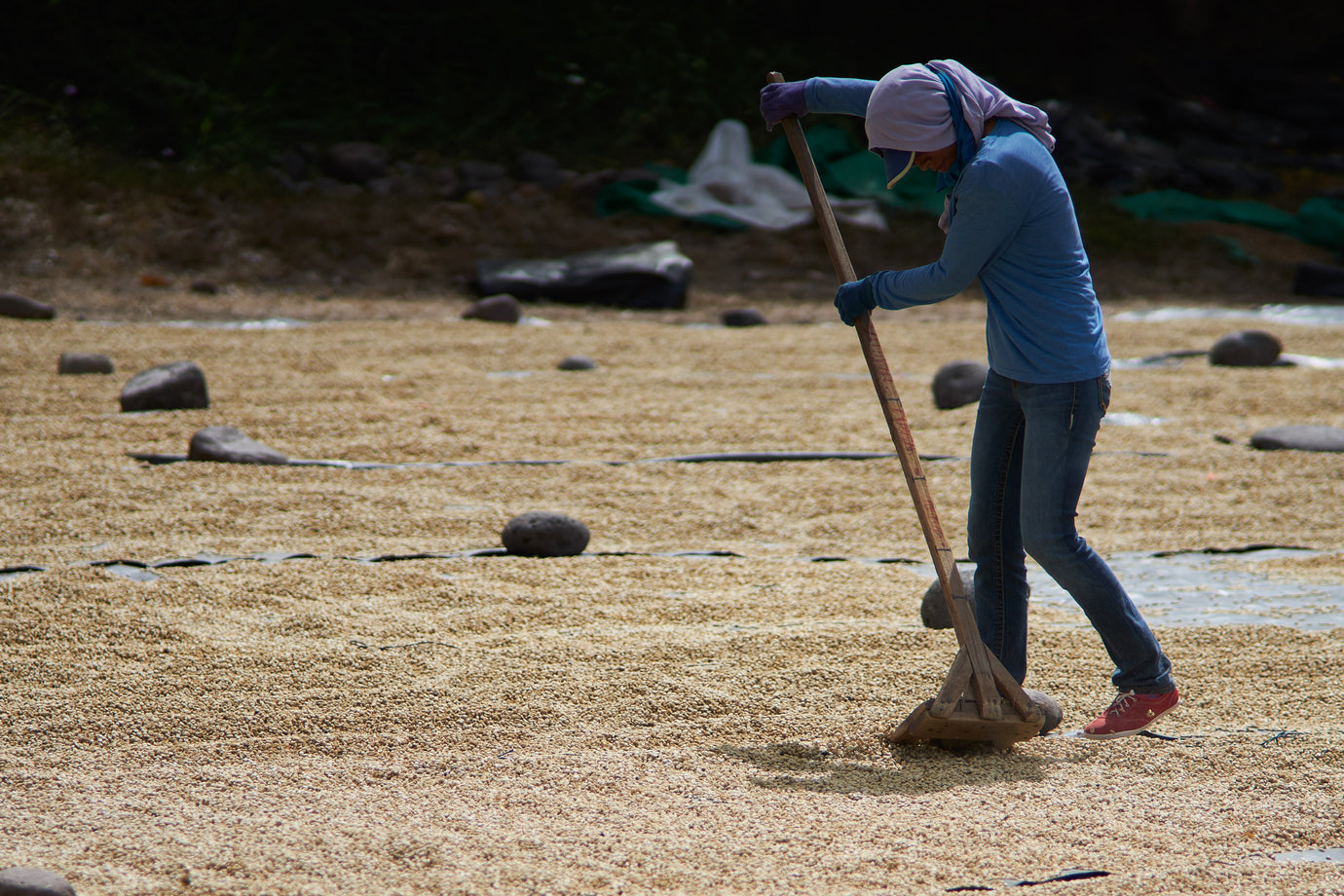 Supporting Women Through Community Development Funds - Tiny Footprint Coffee