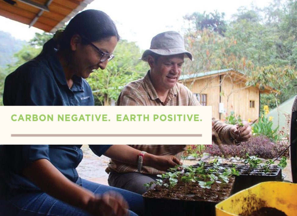 Flowing Funds to Reforestation: A New Year Check In - Tiny Footprint Coffee