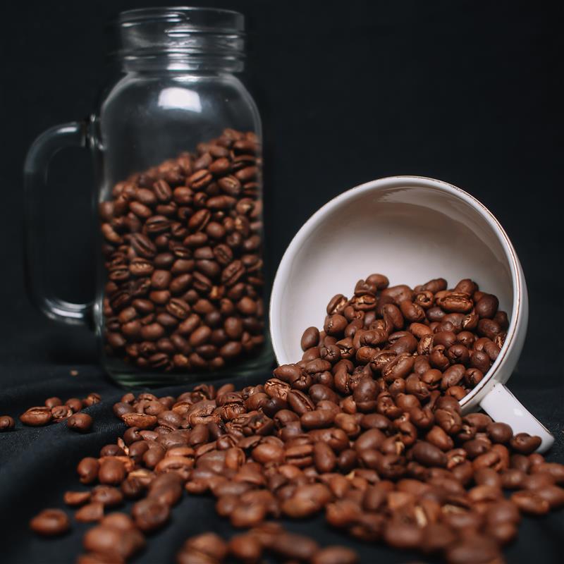 Coffee Beans for Cold Brew: Discover the Secrets Behind the Smoothest Cup You’ll Ever Taste