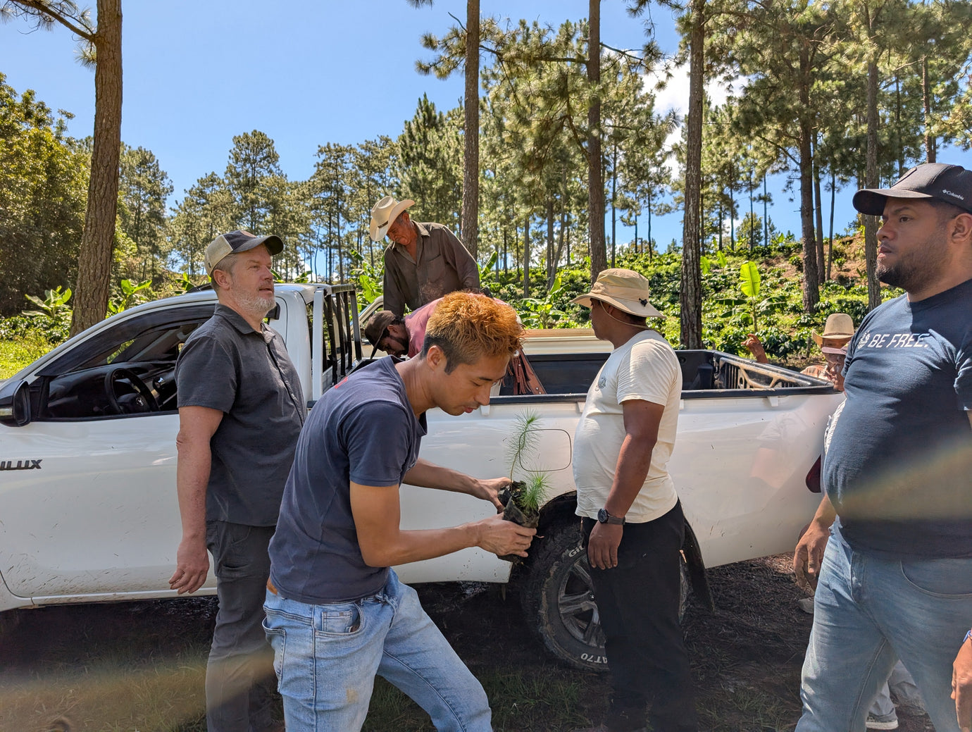 La Labor, Marcala, and San Pedro Sula - Updates from Honduras - Tiny Footprint Coffee