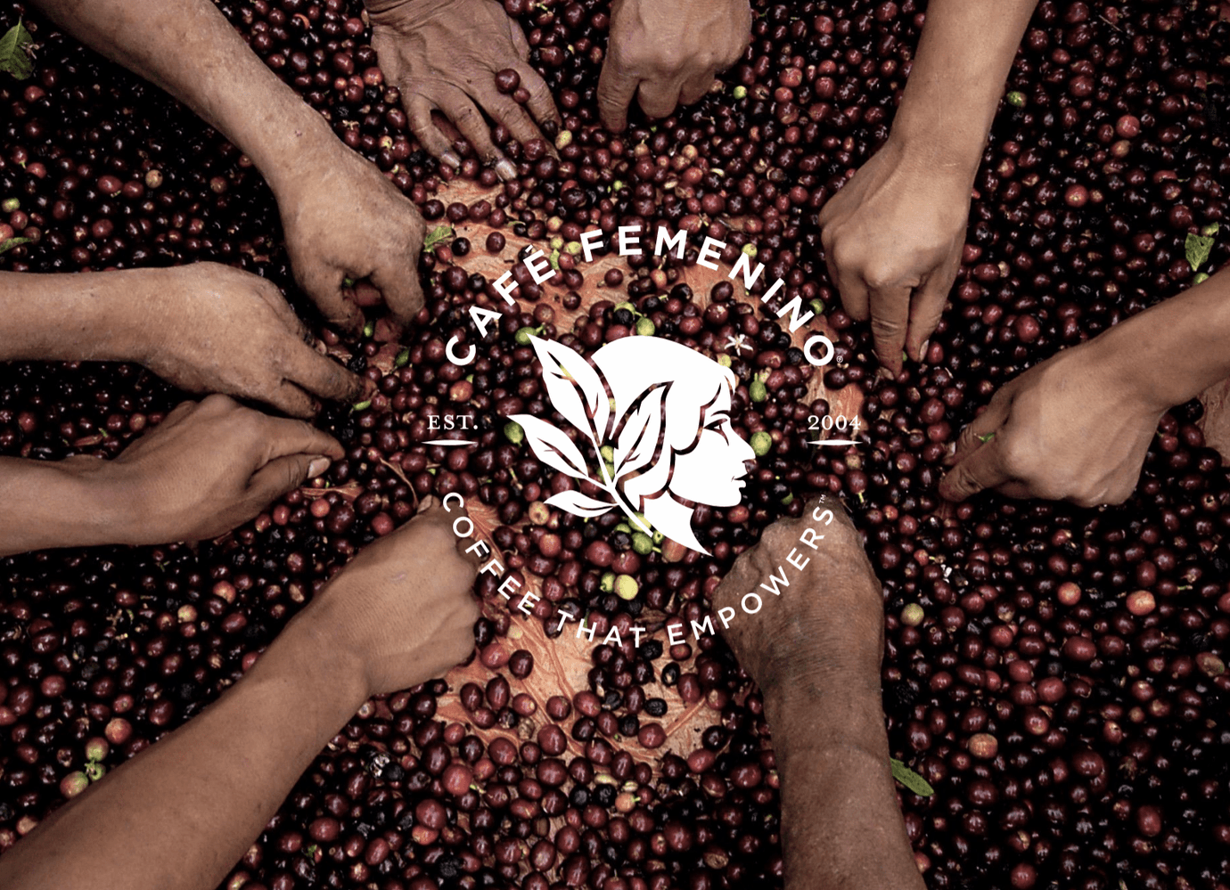 Women in the Coffee Industry: A Café Femenino Conversation - Tiny Footprint Coffee 