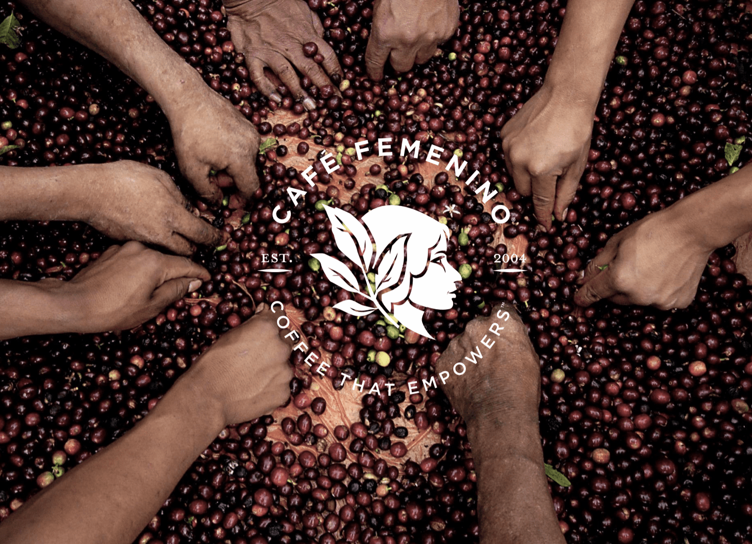 Women in the Coffee Industry: A Café Femenino Conversation - Tiny Footprint Coffee