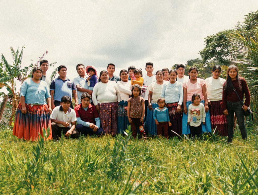 Bolivia | Catuai | Washed | Medium Roast