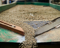Mexico | El Triunfo Reserve | Women Producers | Light Roast - Tiny Footprint Coffee