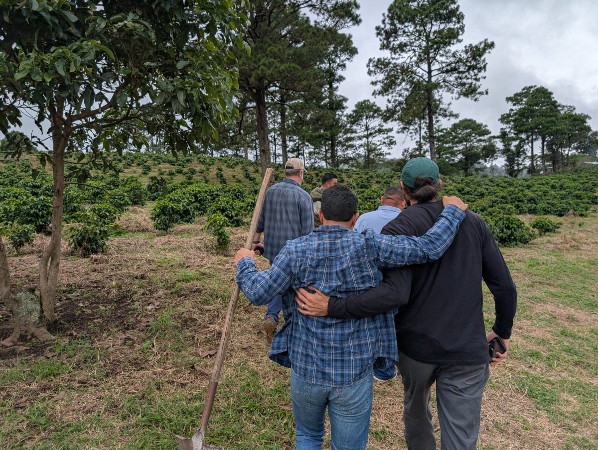 Honduras | Artisan Reserve - Finca La Joya | Light Roast - Tiny Footprint Coffee