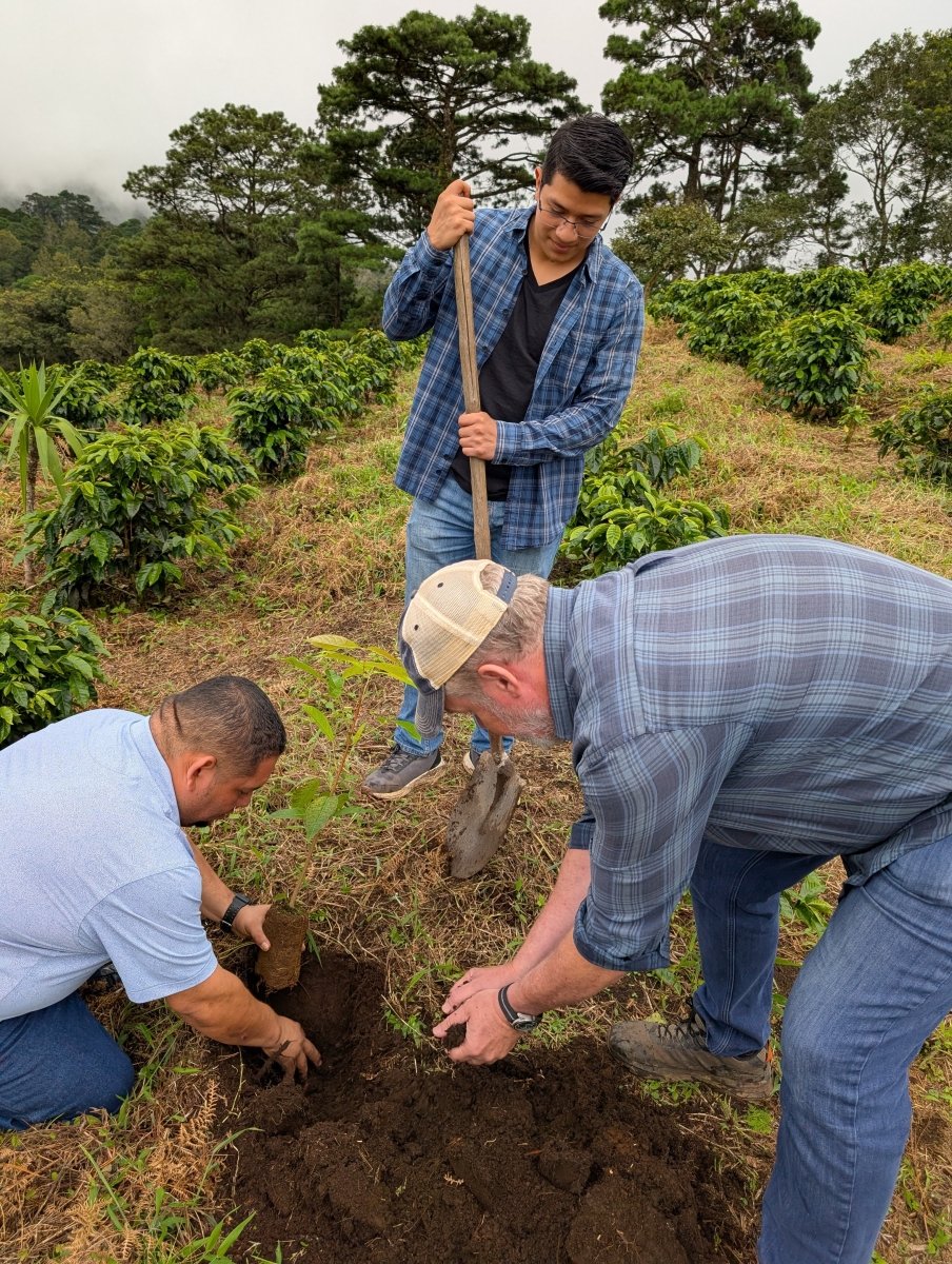 1 - Year Gift Package - Roasters Single Origin Subscription - Tiny Footprint Coffee