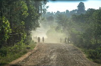 Ethiopia - Yirgacheffe | Konga - Grade 1 | Fully Washed | Light Roast - Tiny Footprint Coffee