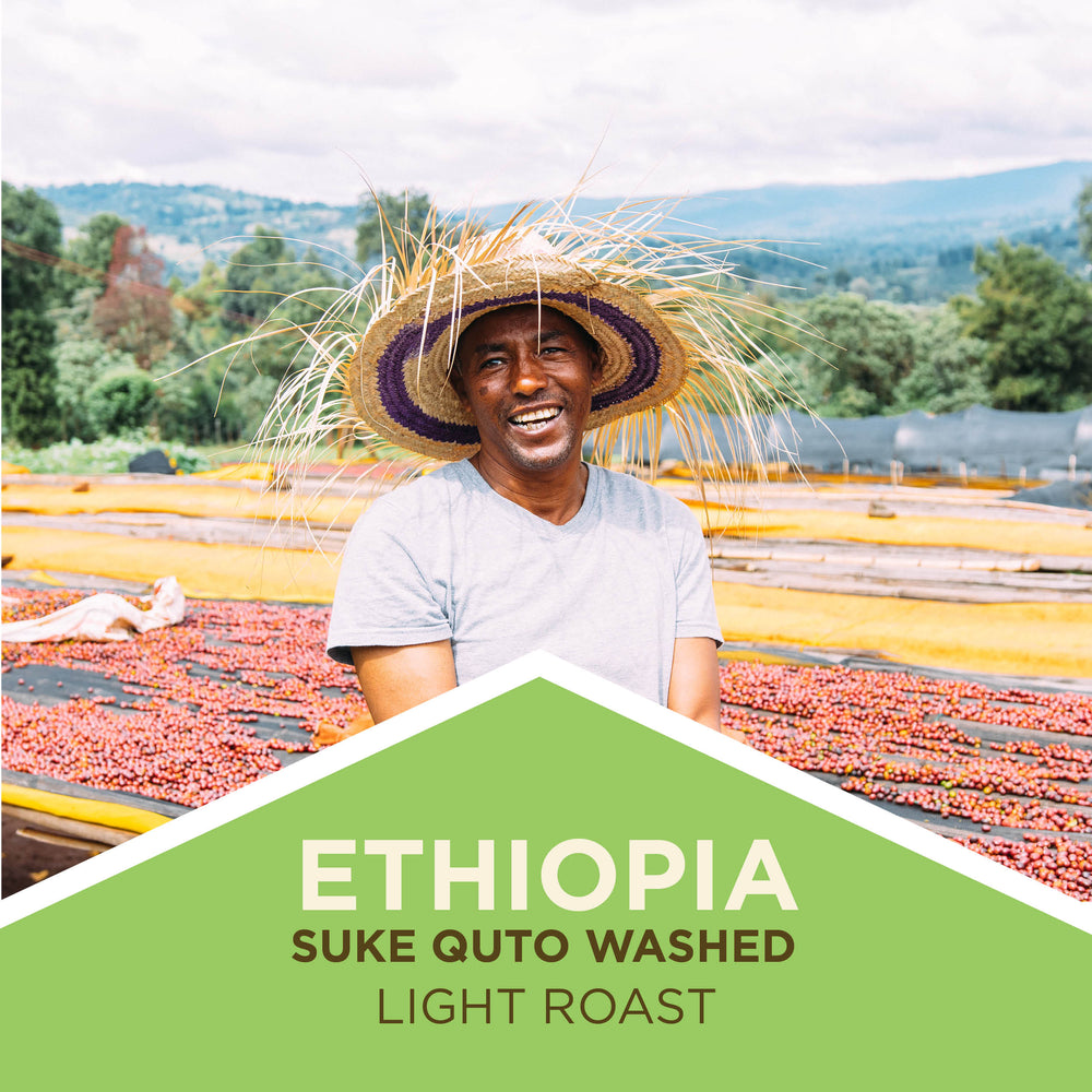 Ethiopia - Guji | Suke Quto Grade 1 | Fully Washed | Light Roast
