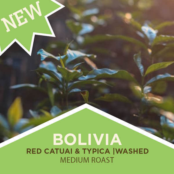 Bolivia | Red Catuai & Typica | Washed | Medium Roast