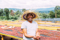 Ethiopia - Guji | Suke Quto Grade 1 | Fully Washed | Light Roast - Tiny Footprint Coffee