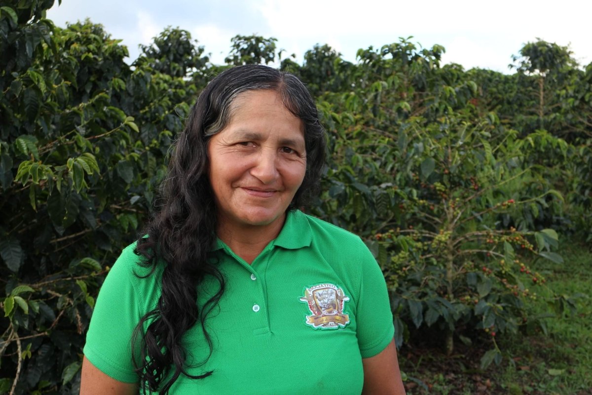 Colombia | Huila Pitalito | ASOBOMBO | Medium Roast - Tiny Footprint Coffee