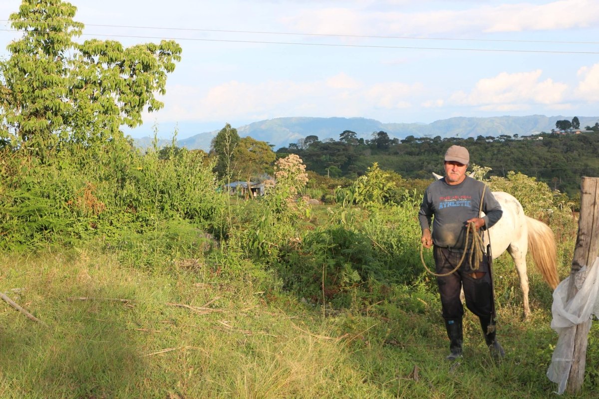 Colombia | Huila Pitalito | ASOBOMBO | Medium Roast - Tiny Footprint Coffee