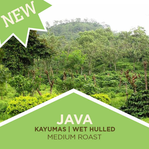 Java | Taman Dadar | Kayumas | Wet hulled- Medium Roast