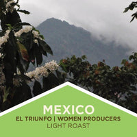 Mexico | El Triunfo Reserve | Women Producers | Light Roast - Tiny Footprint Coffee