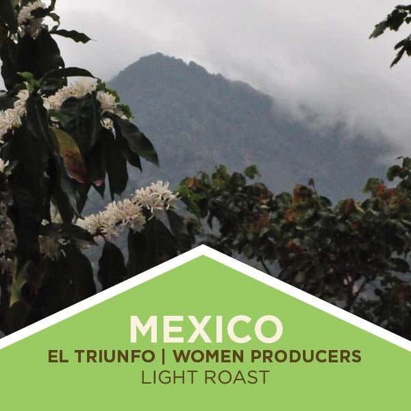 Mexico | El Triunfo Reserve | Women Producers | Light Roast - Tiny Footprint Coffee