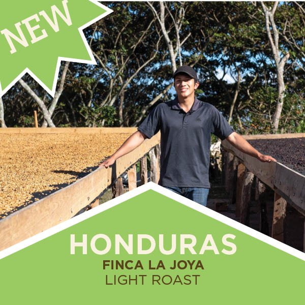 Photo of Honduras Finca La Joya Catuai Light Roast