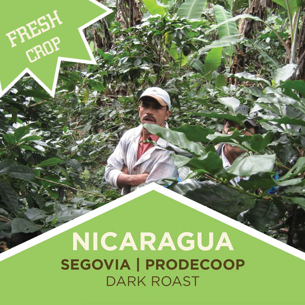 Nicaragua Coffee Dark Roast Segovia