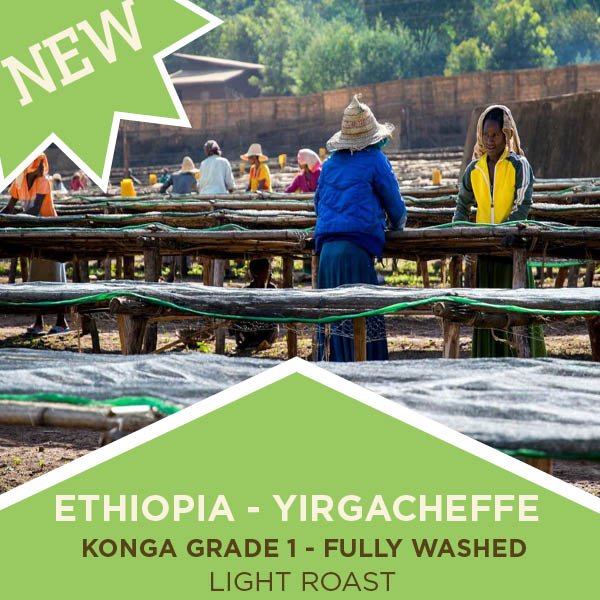 Ethiopia - Yirgacheffe | Konga - Grade 1 | Fully Washed | Light Roast - Tiny Footprint Coffee