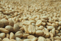 Papua New Guinea | Siane Chimbu - Medium Roast - Tiny Footprint Coffee