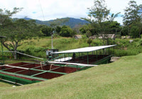 Papua New Guinea | Siane Chimbu - Medium Roast - Tiny Footprint Coffee