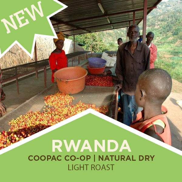 Rwanda | COOPAC | Natural Dry | Micro-Lot  | Light Roast