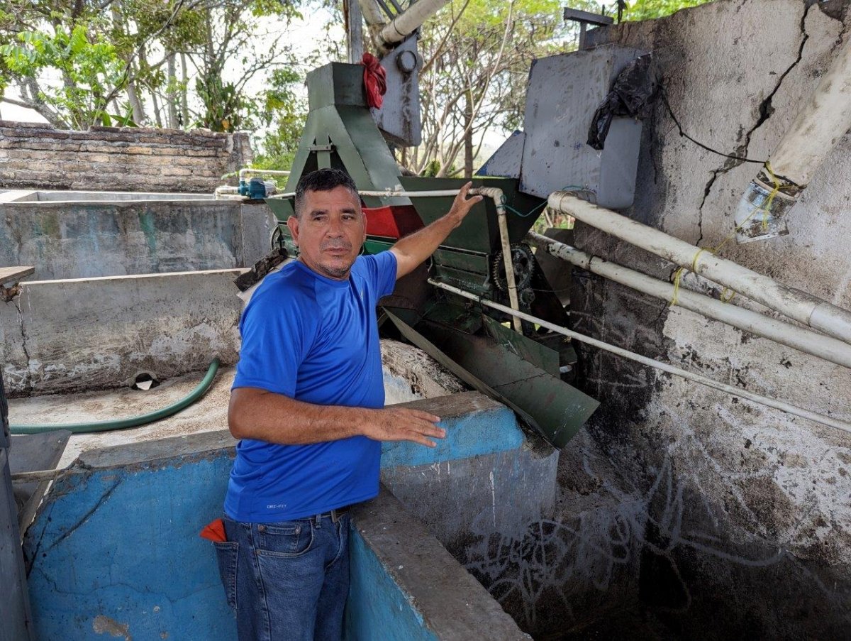 Honduras | La Labor | Dark Roast - Tiny Footprint Coffee