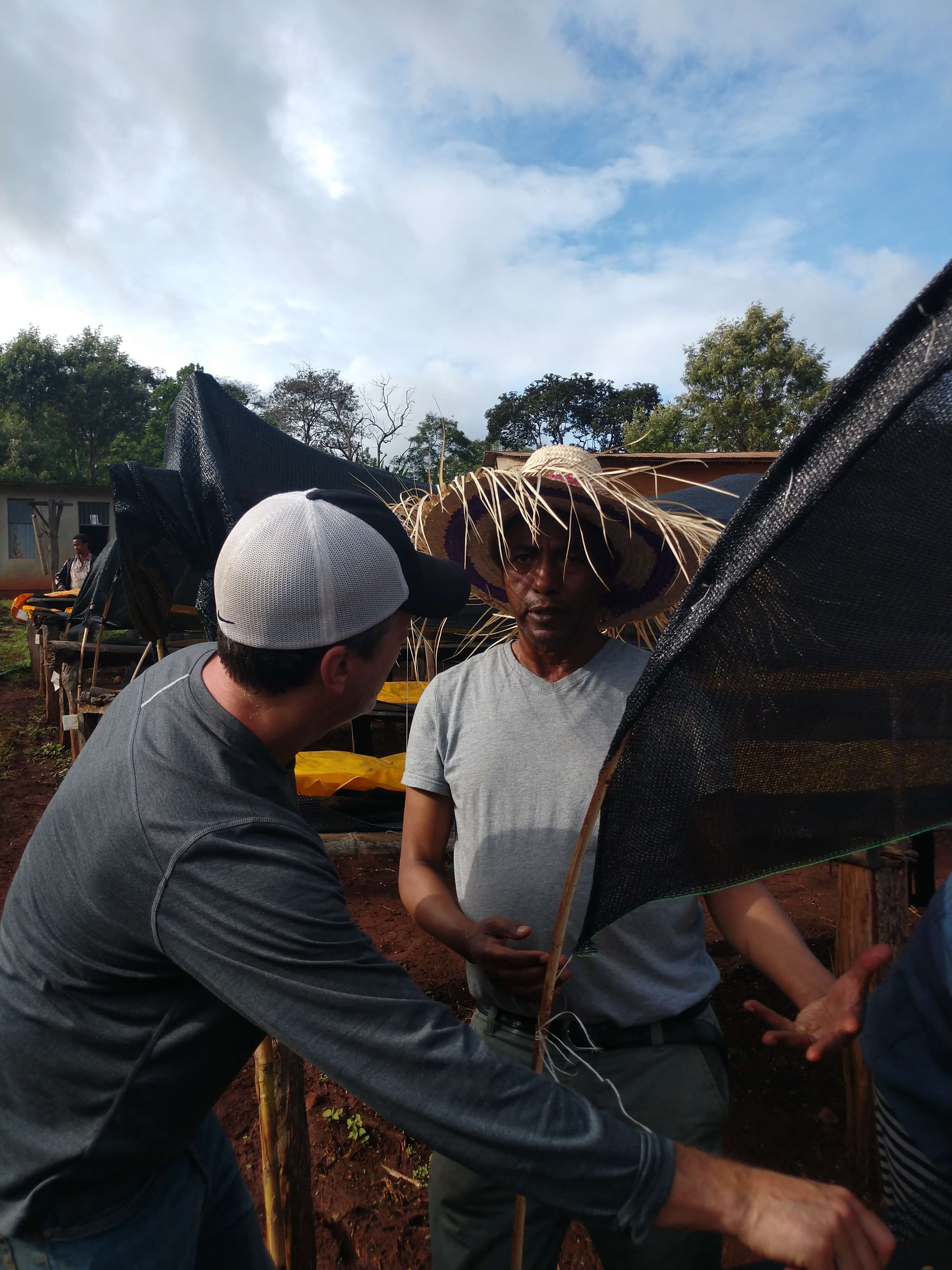 Ethiopia - Guji | Suke Quto - Uraga | Fully Washed | Light Roast