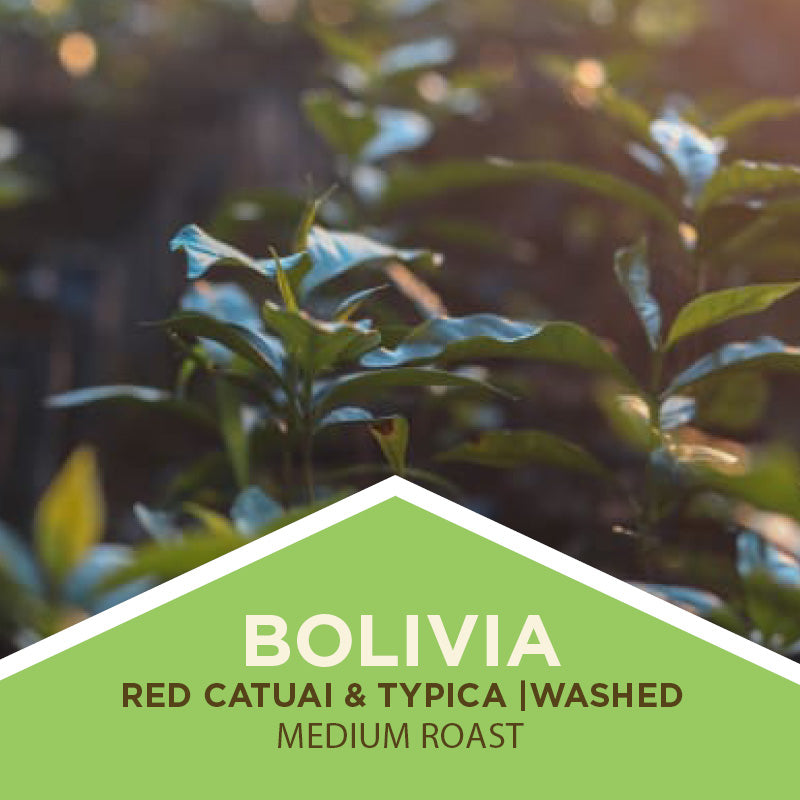 Bolivian Coffee