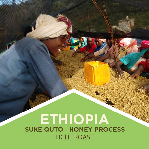 Ethiopia Guji | Suke Quto | Honey Process - Light Roast