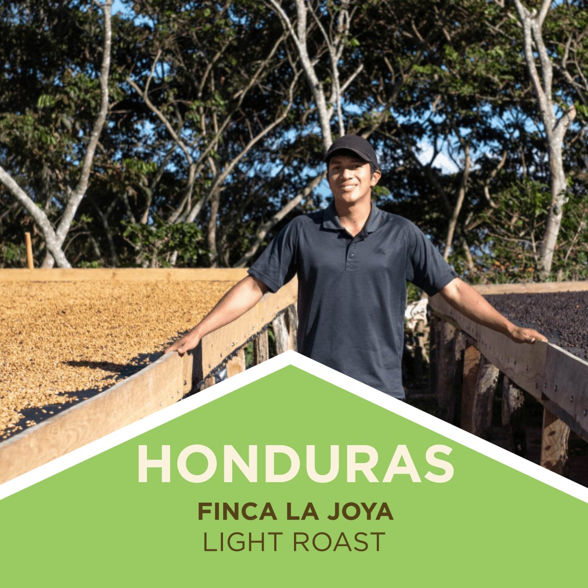 Honduras | Artisan Reserve | Double Fermentation | Finca La Joya - Light Roast - Tiny Footprint Coffee