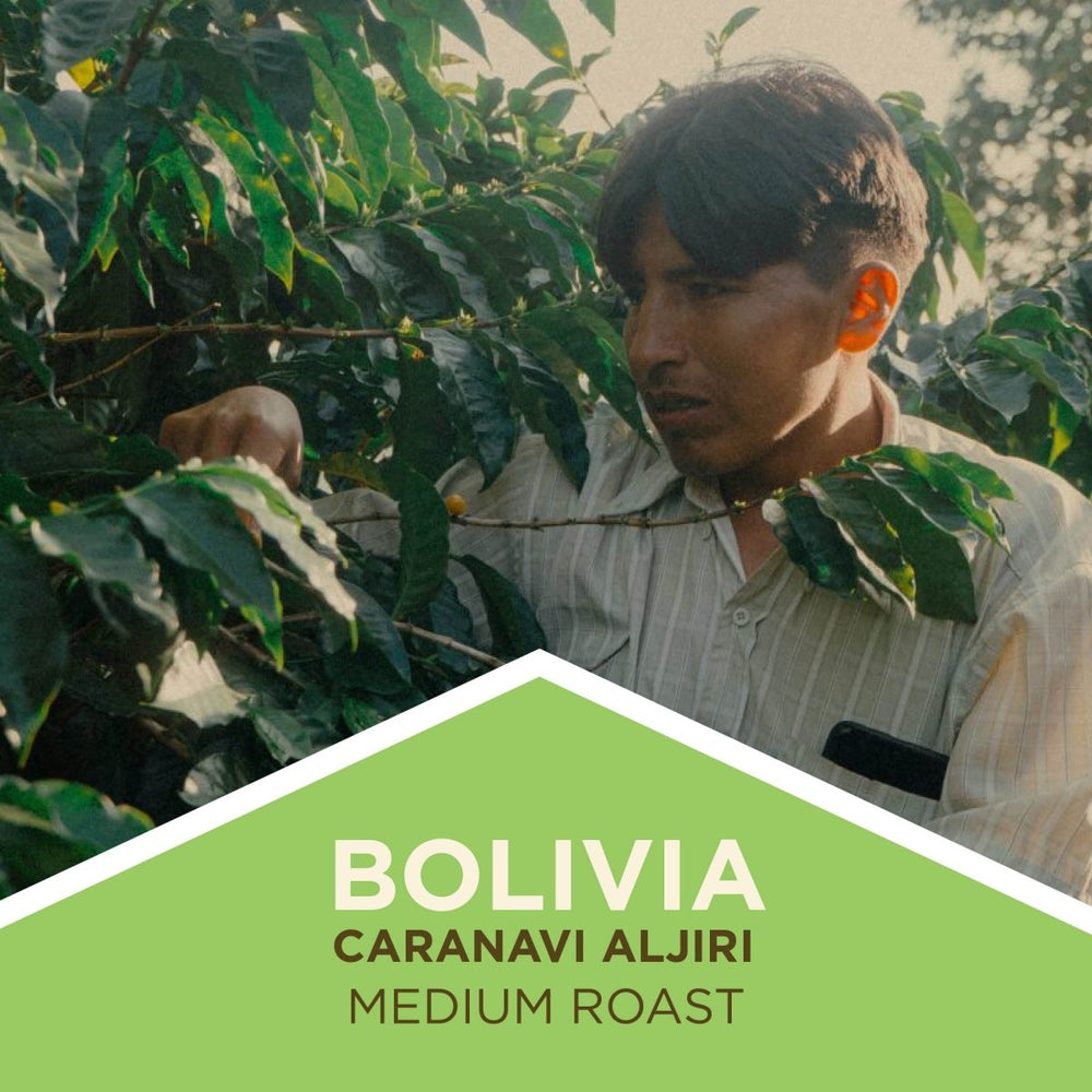 Bolivia | Catuai | Washed | Medium Roast - Tiny Footprint Coffee