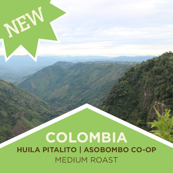 Colombia | Huila Pitalito | ASOBOMBO | Medium Roast