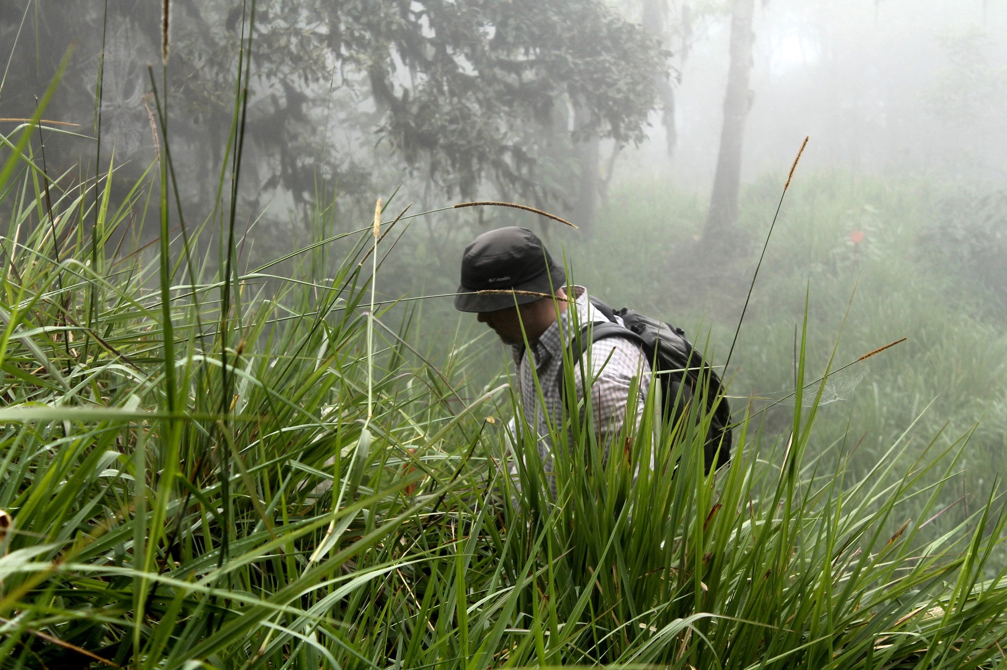 Ecuador | Cloud Coffees