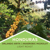 Honduras | Orlando Arita | Anaerobic Fermentation | Micro-lot