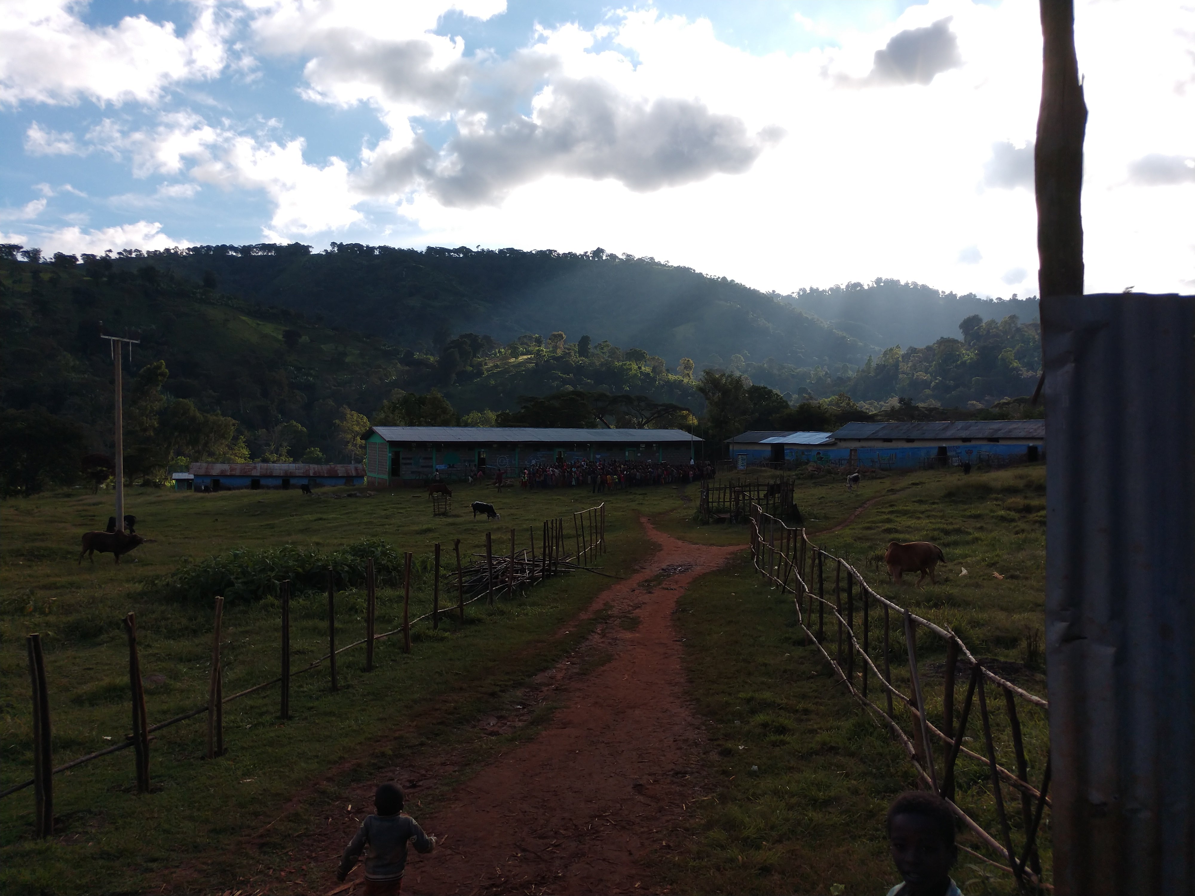 Ethiopia Guji Artisan Series | Suke Quto | Fully Washed | Light Roast