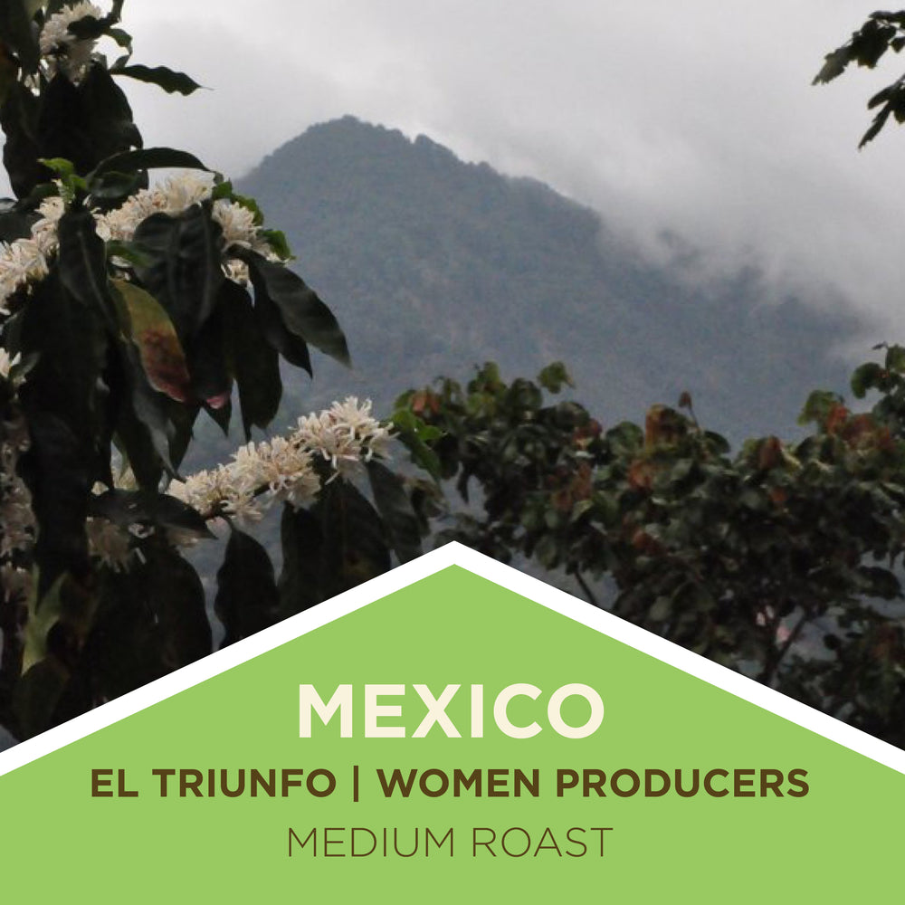 Mexico | El Triunfo | Women Producers | Light Roast