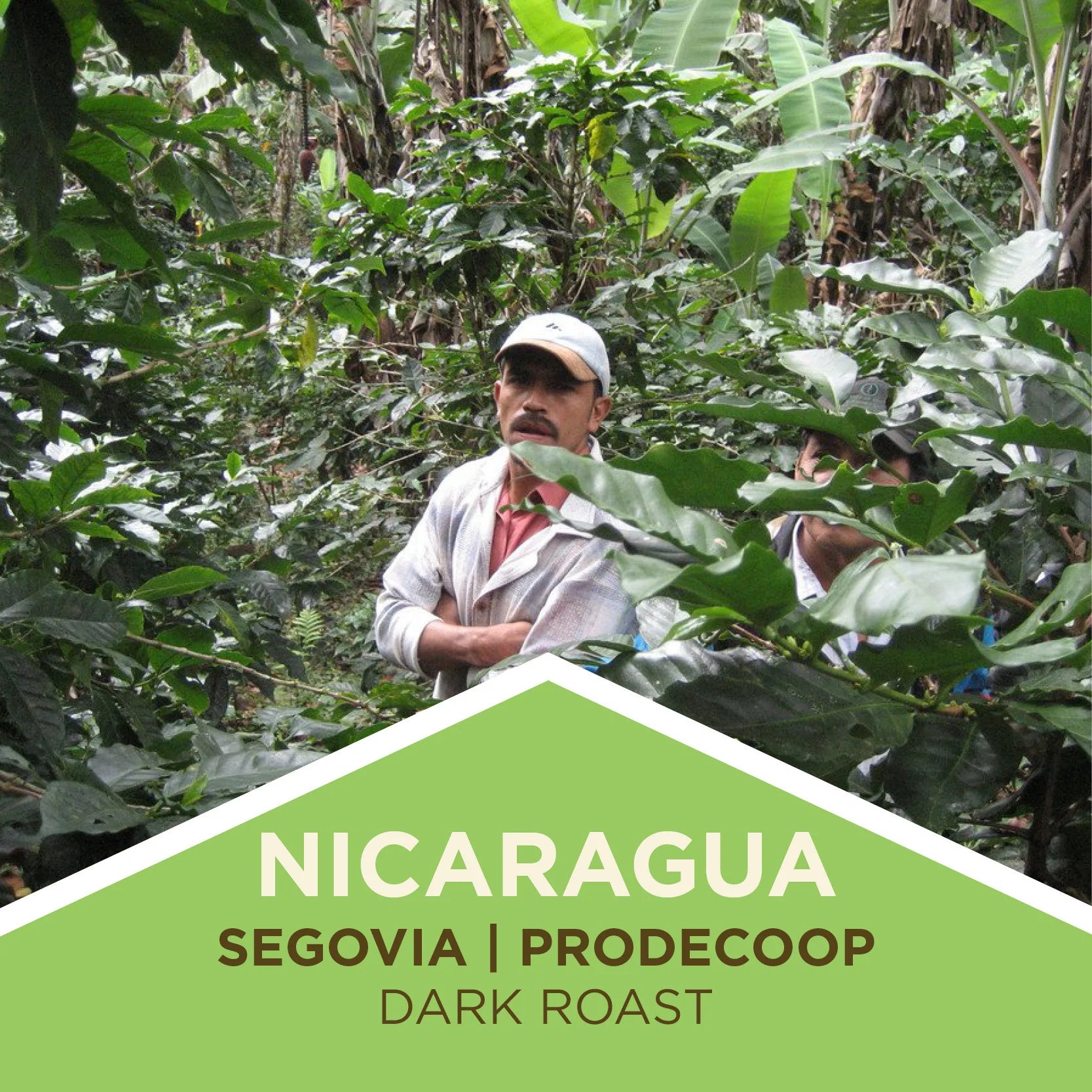 A promotional image featuring a person wearing a cap and a shirt with the text 'NICARAGUA SEGOVIA PRODECOOP DARK ROAST' in front of a backdrop of lush greenery.