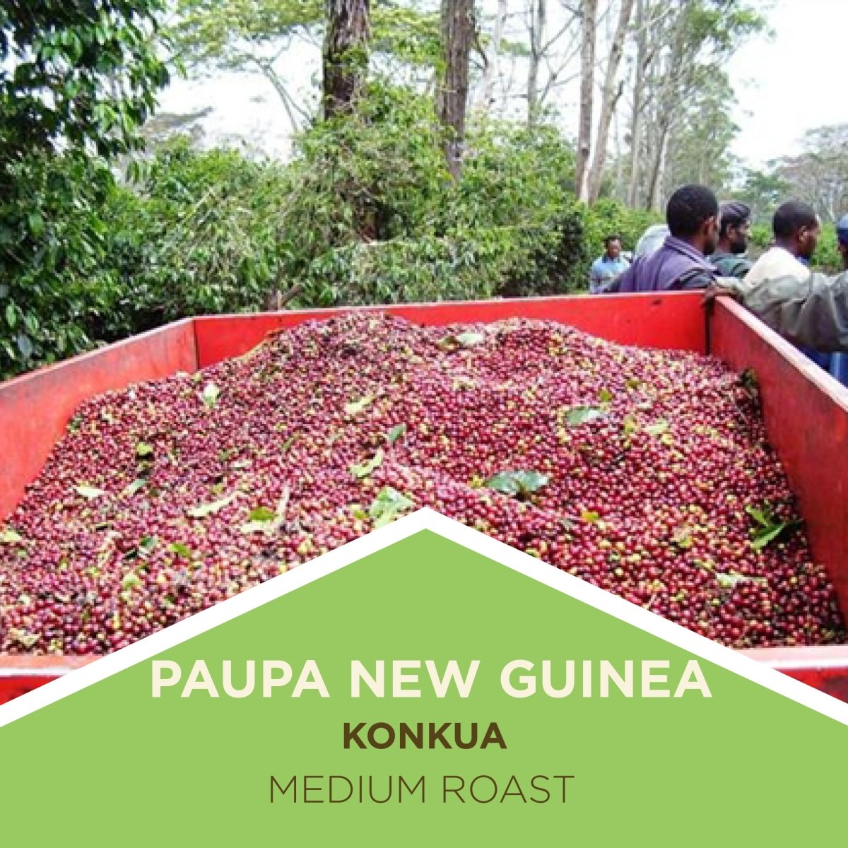 Papua New Guinea | Konkua - Medium Roast - Tiny Footprint Coffee