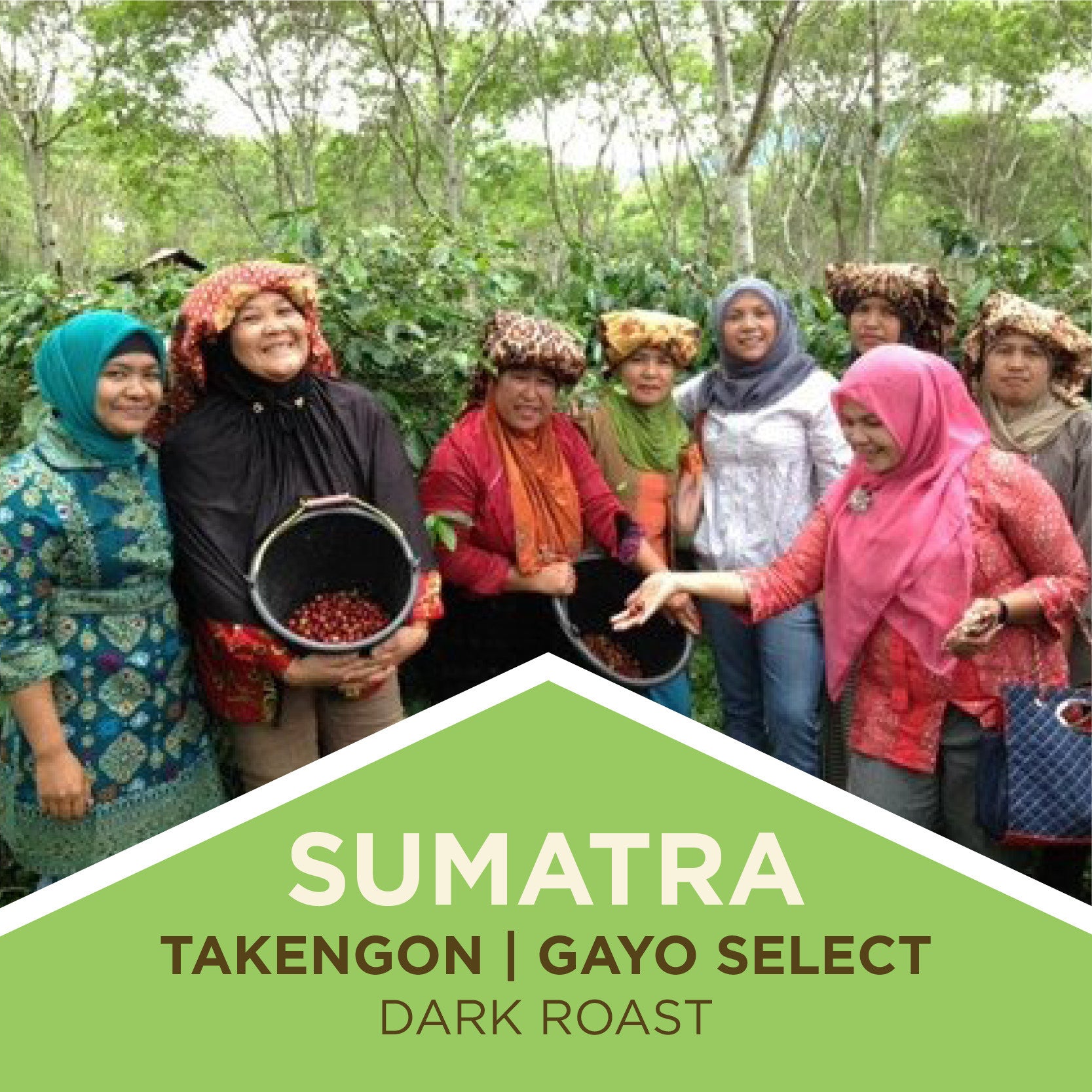 Sumatra Dark Roast Coffee Beans