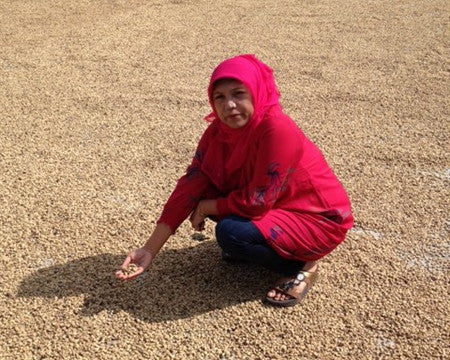 Sumatra Dark Roast Coffee Beans