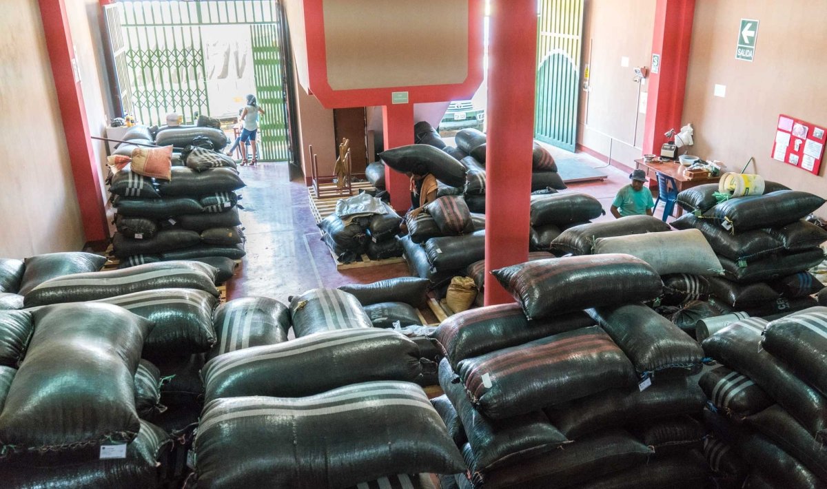 Peru | Lima Coffee | Medium Roast - Tiny Footprint Coffee