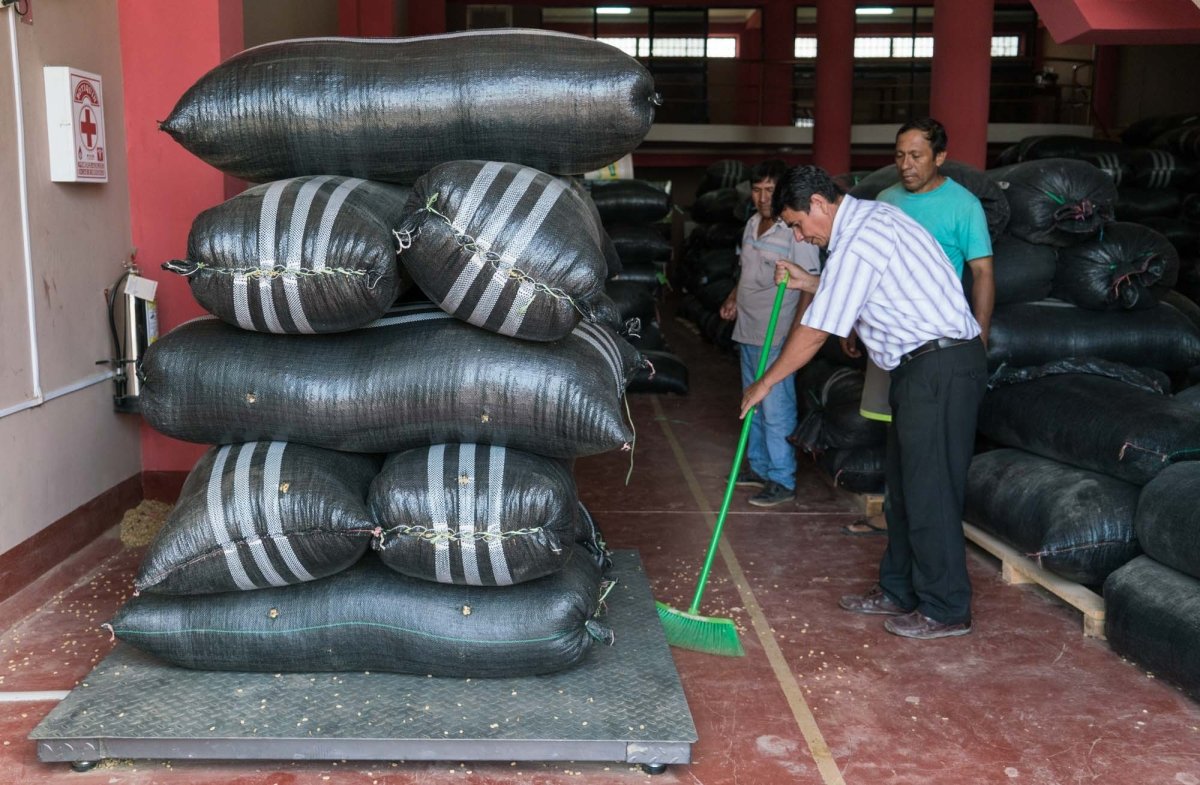 Peru | Lima Coffee | Medium Roast - Tiny Footprint Coffee