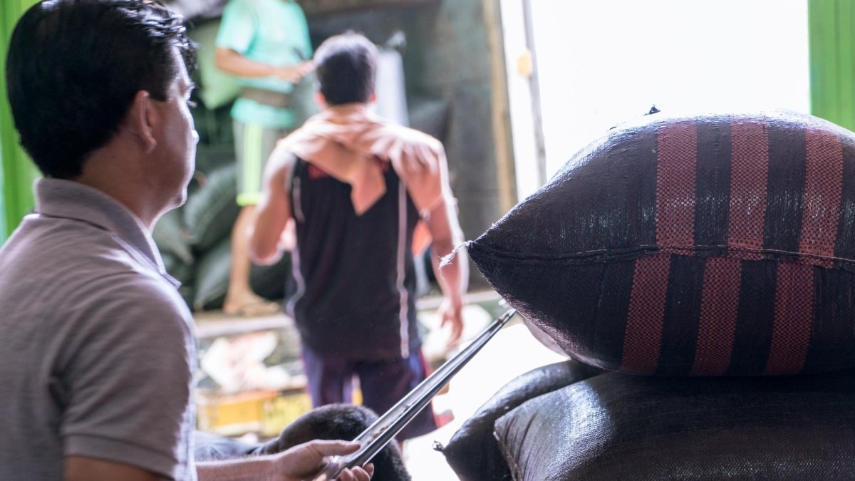 Peru | Lima Coffee | Medium Roast - Tiny Footprint Coffee